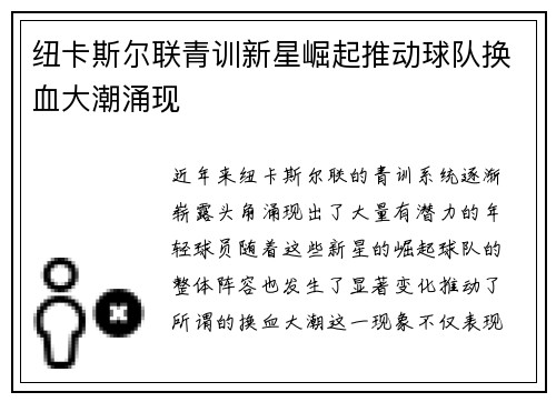 纽卡斯尔联青训新星崛起推动球队换血大潮涌现